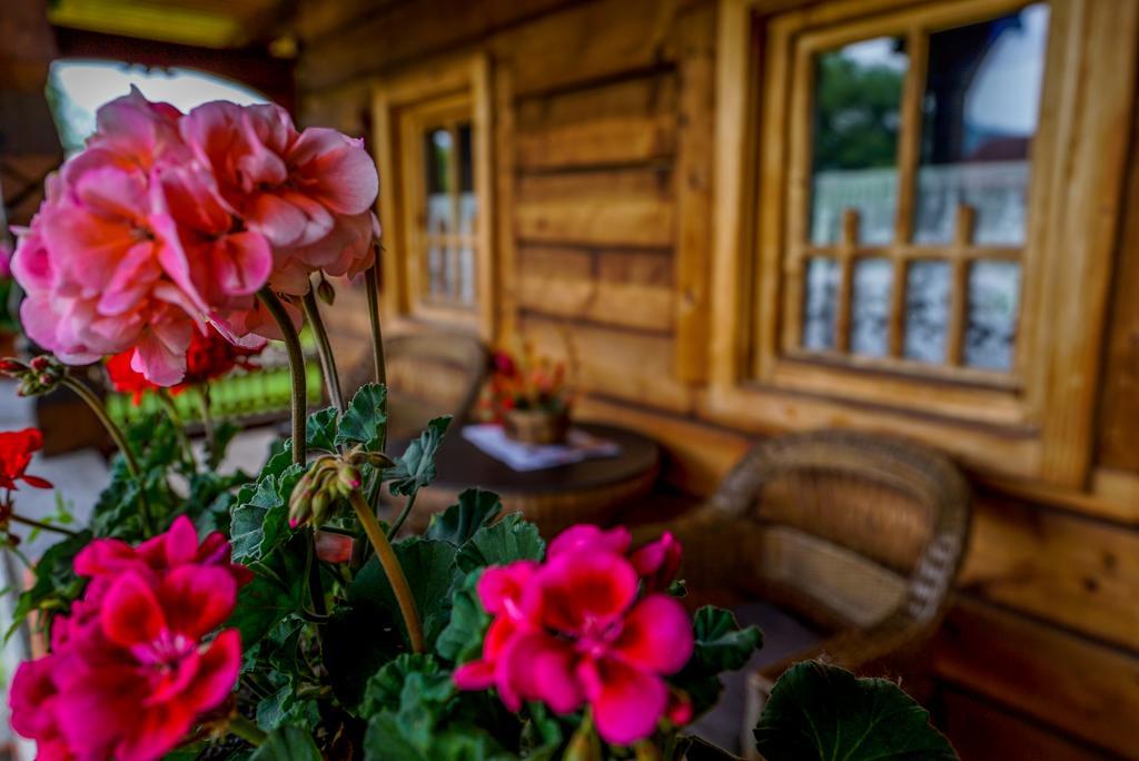 Готель Casa Chira Вишово-Вижнє Екстер'єр фото