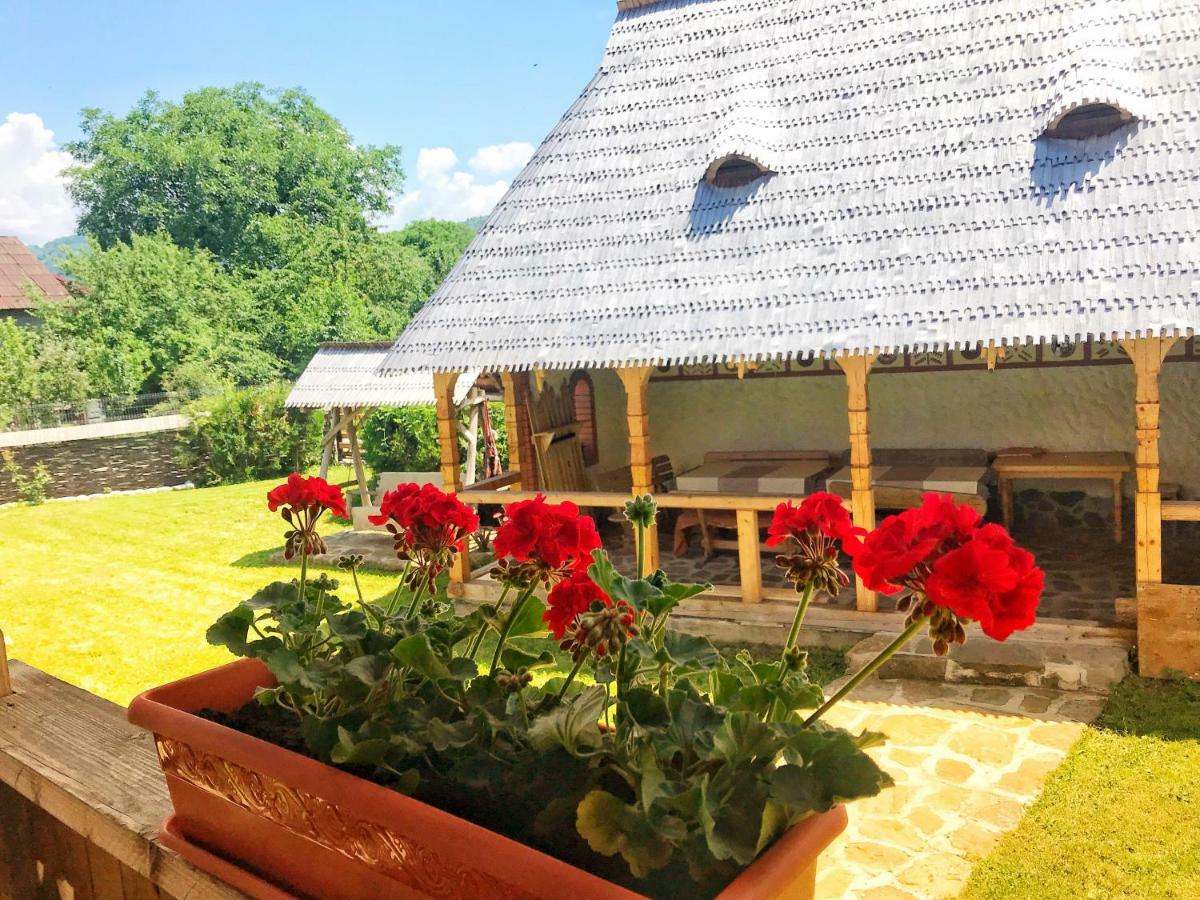 Готель Casa Chira Вишово-Вижнє Екстер'єр фото